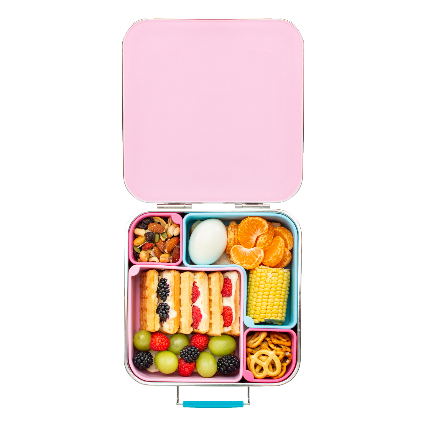 Bento Flex | Full Plate | Pink