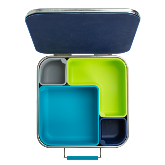 Bento Flex | Full Plate | Blue